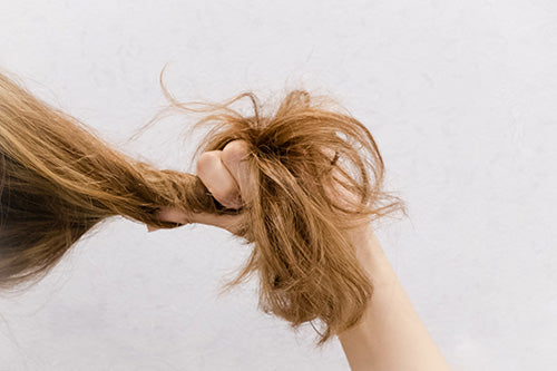 Shampoo & Conditioner for Dry Hair