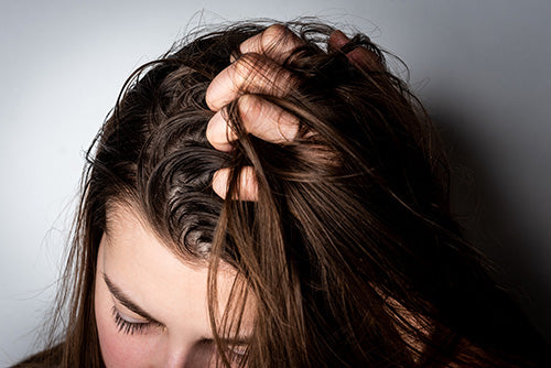 Shampoo & Conditioner for Oily Hair